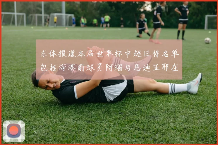 东体报道本届世界杯中超旧将名单包括海港前球员阿瑙与恩迪亚耶在内的10位球员