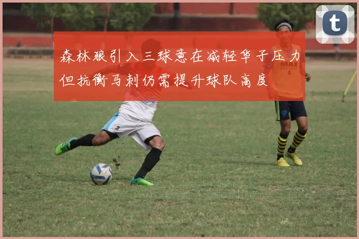 森林狼引入三球意在减轻华子压力但抗衡马刺仍需提升球队高度